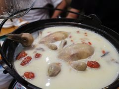 -喜上喜鸡煲翅(吉大店)