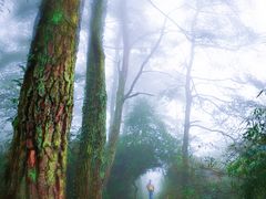 -南岳衡山风景名胜区