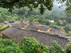 -杨家堂村