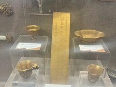 -烟台自然博物馆