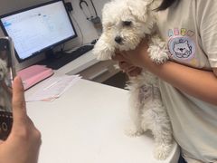 -艾贝尔宠物医院 ·中兽医·宠保定点(北门桥店)