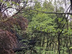 -上海佘山国家森林公园西佘山园