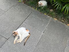 -广州兰圃