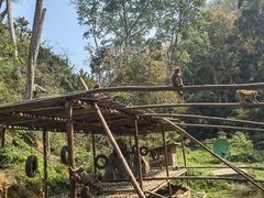 -西双版纳原始森林公园