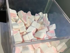 -狐狸和向日葵(北京路店)
