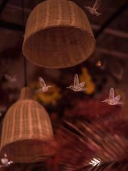 -苏菲亚婚纱摄影