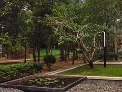 -三亚海棠湾万丽度假酒店