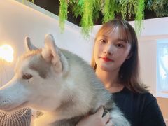 -Husky Go! 哈士奇体验馆·宠物咖啡厅狗咖