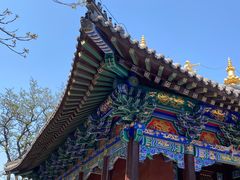-护国法轮寺