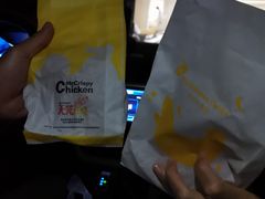 -枫花园汽车电影院(朝阳公园店)