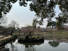 -无锡梅园公园
