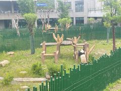 -沈阳森林动物园