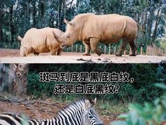 -云南野生动物园