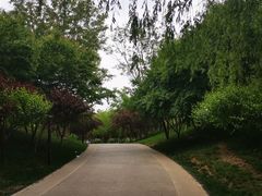 -北坞公园
