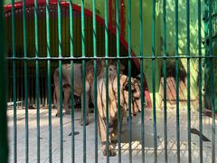 -荆州中山公园动物园