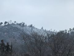-黄陂区野村谷景区