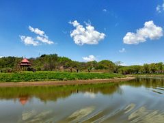 -黄椅山火山森林公园
