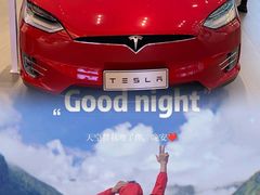 -TESLA 特斯拉(广州天环广场体验店)