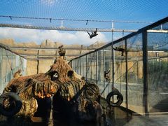 -齐齐哈尔龙沙动植物园