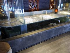 -搓火大都会(广安门总店)