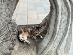 -宝通禅寺