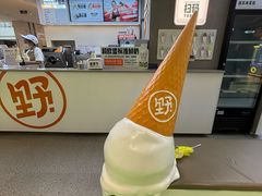-野人先生现做冰淇淋(北京悠唐购物中心店)