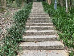 -杭州半山国家森林公园