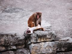 -上方山森林动物世界
