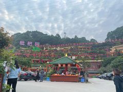 -枇杷园食为鲜火锅(南山店)