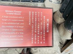 -乌镇东栅景区