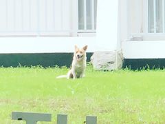 -上海怡沁园度假酒店