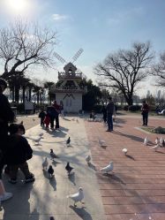 -玄武湖景区-情侣园游乐场