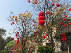 -国恩寺