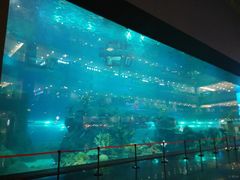 -成都浩海立方海洋公园