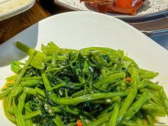 -炆艺乳鸽·煲仔饭大排档(望京来广营店)