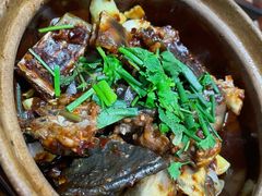 甲鱼煲-金龙·打边炉(武进路店)