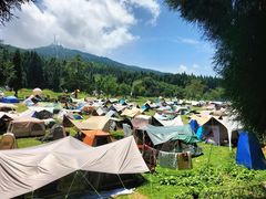 -武陵山森林公园