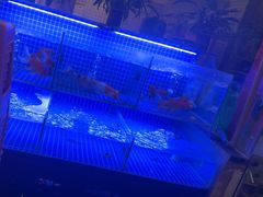 -谭三娘鲜切牛肉自助火锅(九眼桥总店)