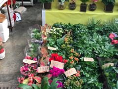 -秦美花卉(天朗·莱茵小城2期店)