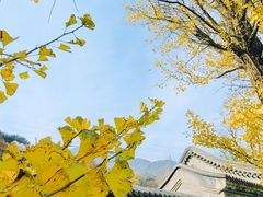 -阳台山自然风景区