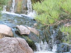 -罗红摄影艺术馆