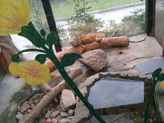 android_upload_pic-上海大自然野生昆虫馆