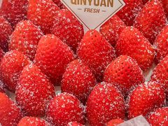 -沁园(南坪上海城店)