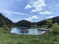 -武陵山森林公园