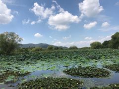 -长兴太湖图影湿地文化园