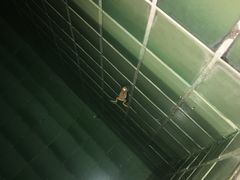 -三亚亚龙湾五号度假别墅酒店