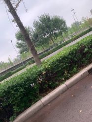 -HEYAN长风荷妍专业脱毛美肤
