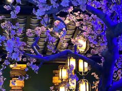 -桂满陇天书(南京德基旗舰店)