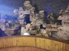 -明日世界密室轰趴·剧本桌游·箭馆团建(国贸店)