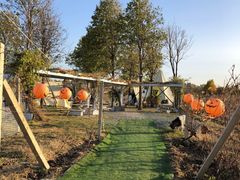 -安德鲁户外烧烤帐篷营地(马泉营店)